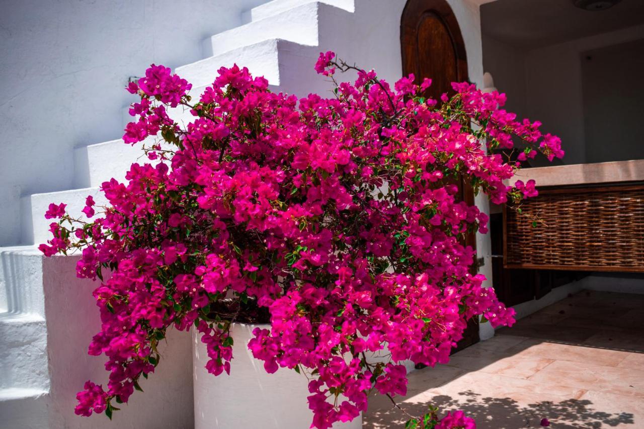 Cartagena Hotel Aguamarina Boutique (Adults Only) מראה חיצוני תמונה